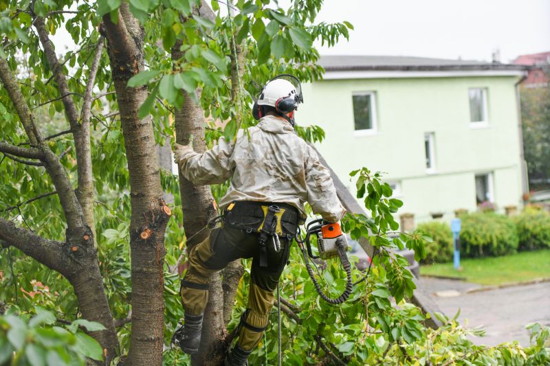 Arborist Pruning