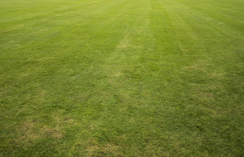 Landscaping Installation detail