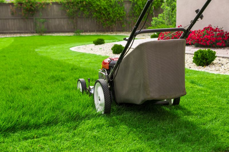 Lawn Repair Service detail