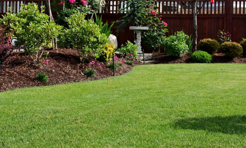 Yard Landscaping Service detail
