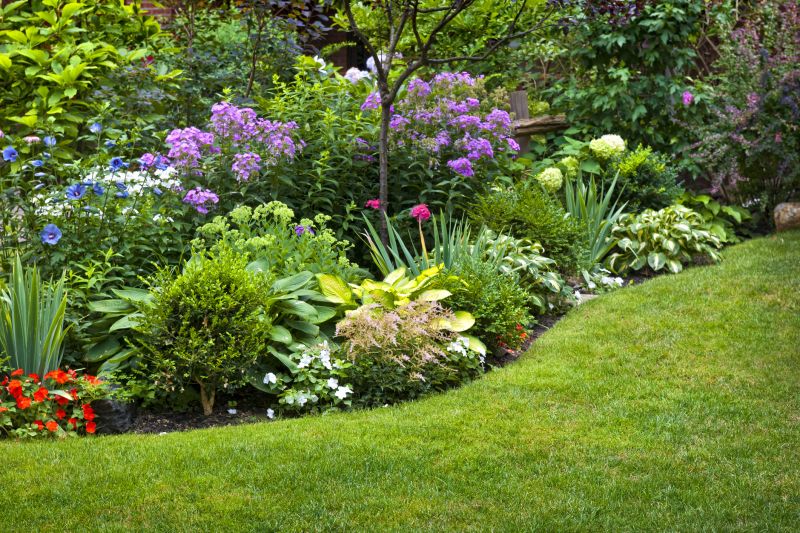 Ground Cover Planting