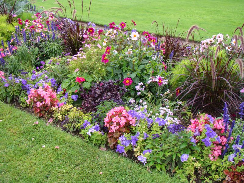 Decorative Plantings