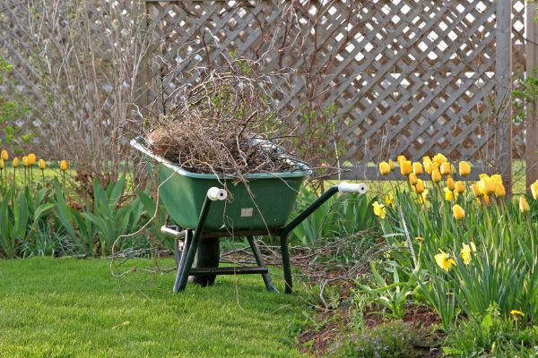 Flower Bed Cleanup Service in Conroe