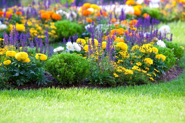 Flower Bed Maintenance in Conroe