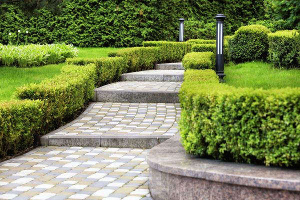 Backyard Remodeling in Conroe