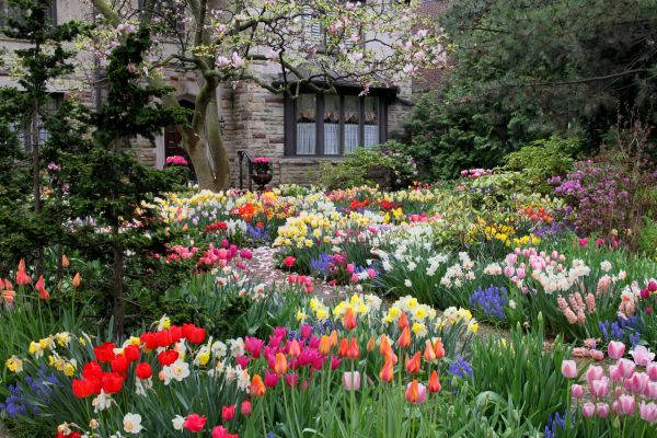 Garden Maintenance Service in Conroe