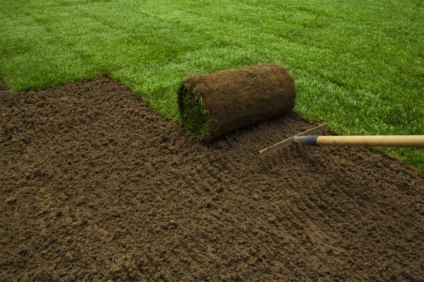 Lawn Installation