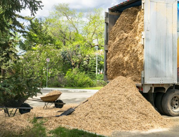 Wood Chips Delivery in Conroe
