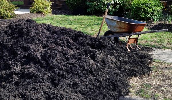 Black Mulch Delivery in Conroe