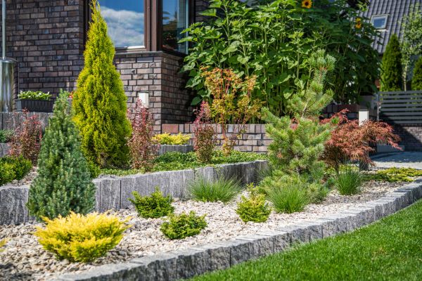 Landscape Construction Service in Conroe