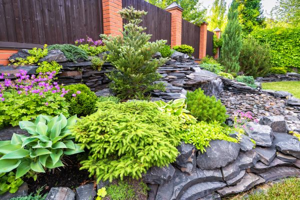 Landscape Remodeling in Conroe