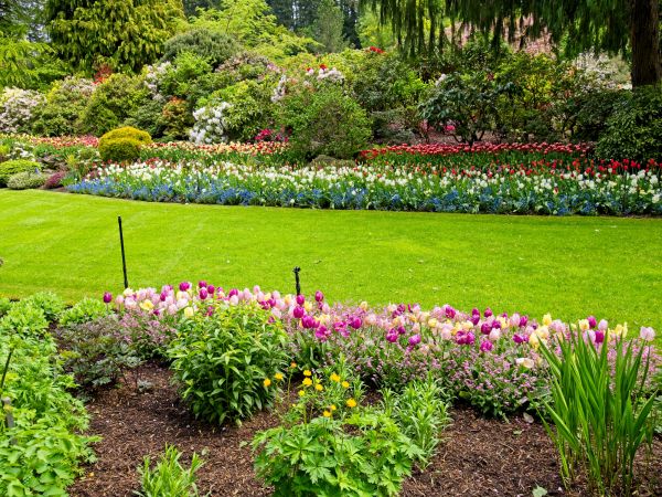 Residential Landscape Design in Conroe