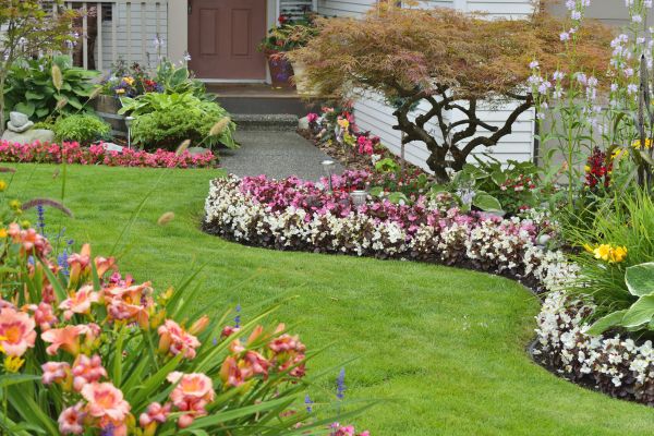 Perennial Landscaping in Conroe