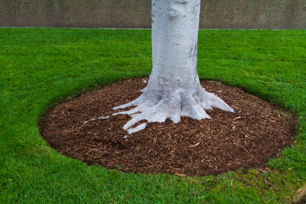 Brown Mulch Installation in Conroe