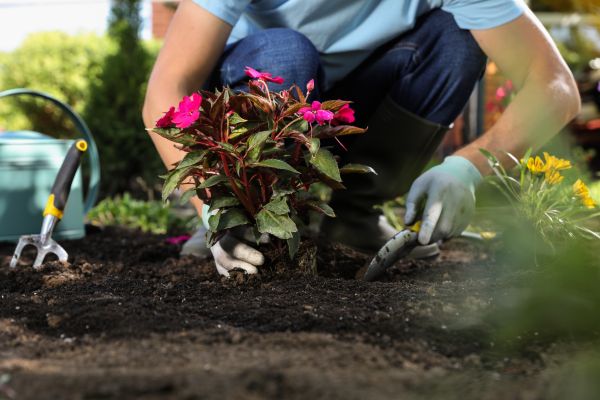 Plant Installation in Conroe