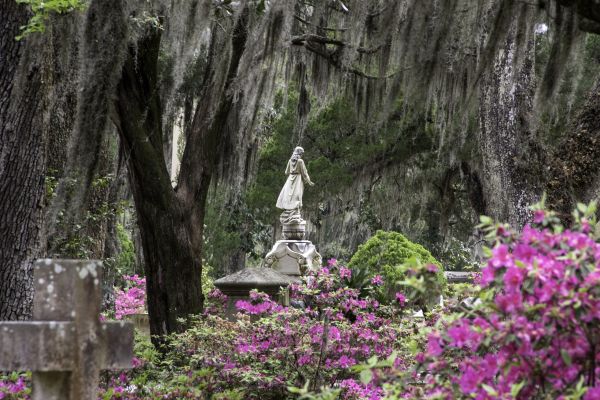 Cemetery Landscaping in Conroe