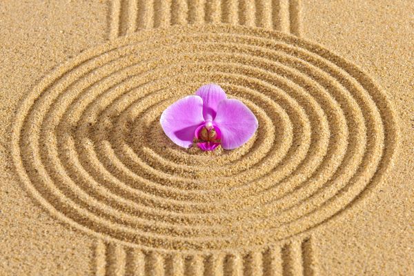 Sand Garden Landscaping in Conroe