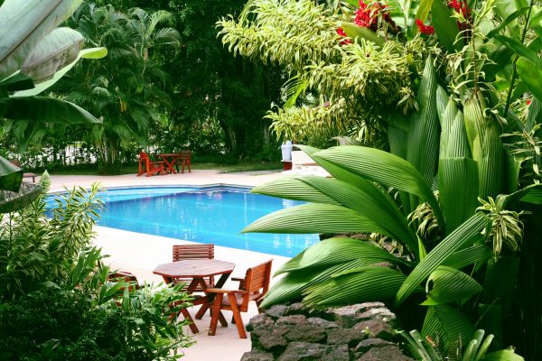 Pool Area Landscaping in Conroe