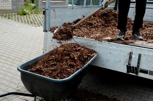Cedar Mulch Delivery in Conroe