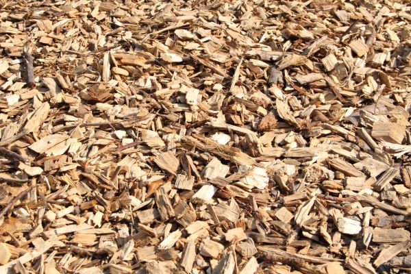 Wood Mulch Delivery in Conroe