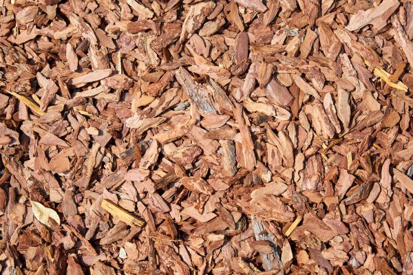 Pine Mulch Delivery in Conroe