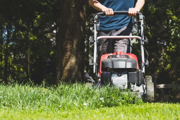 Garden Trimming Service in Conroe