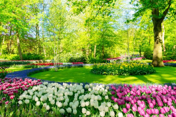 Flower Landscaping in Conroe