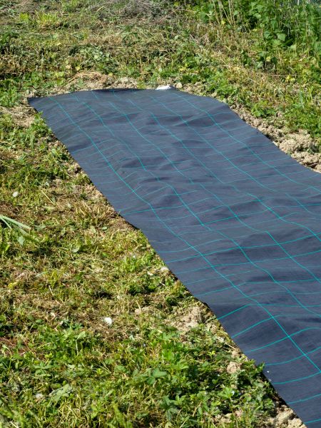 Weed Suppressant Installation in Conroe