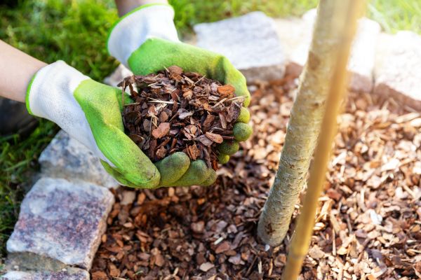 Tree Bark Delivery in Conroe