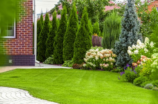 Spring Landscaping in Conroe