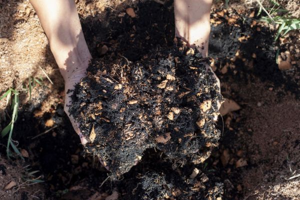 Organic Mulch Installation in Conroe