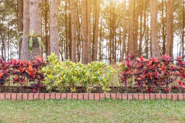 Small Garden Landscaping in Conroe