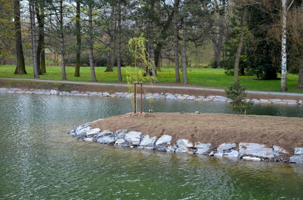 Pond Landscaping Service in Conroe