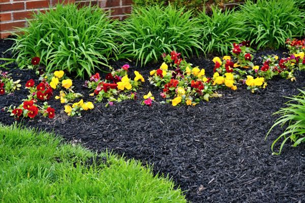 Apartment Mulching in Conroe